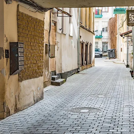 Next To Cathedral Square, Stylish 2bd Gem, Skapo St * Vilnius