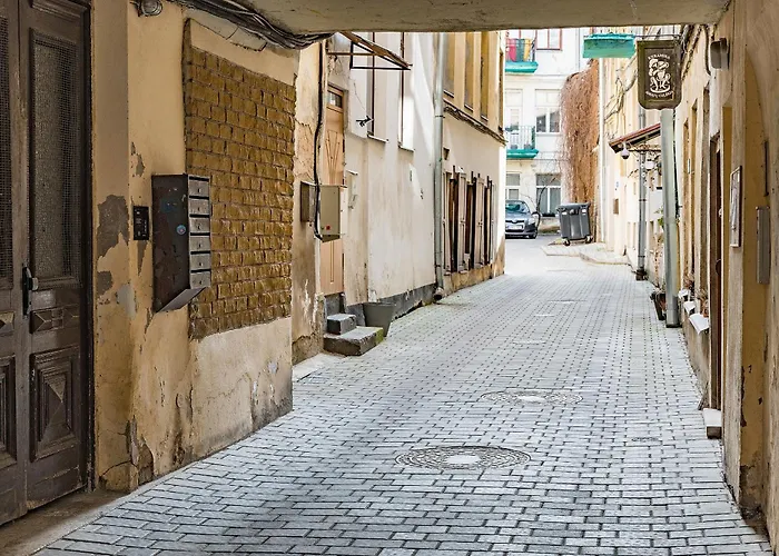 Next To Cathedral Square, Stylish 2bd Gem, Skapo St * Vilnius